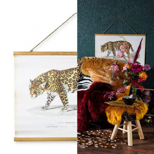 xenos posters in winkel