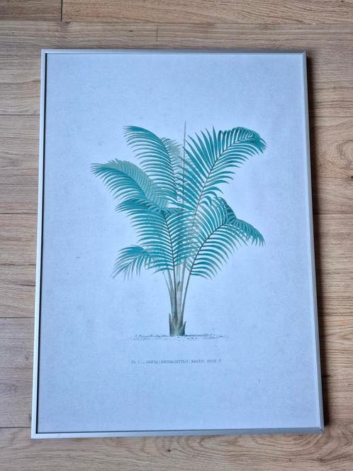 botanische poster