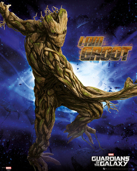 wandposter groot